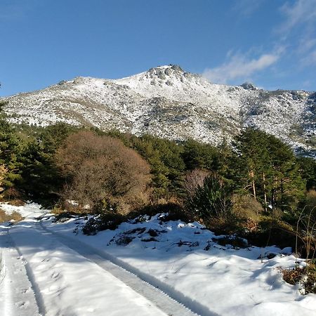 Complejo Turistico Las Canadas Casas De Campo- Actividades Gratuitas Todos Los Fines De Semana Banos De Montemayor Esterno foto