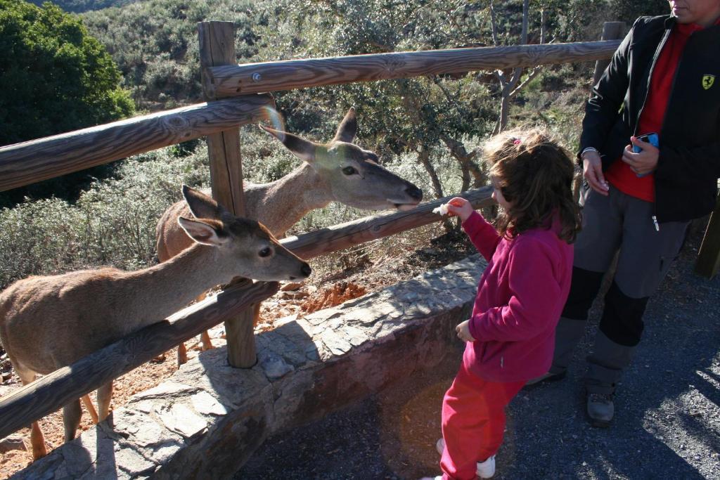 Complejo Turistico Las Canadas Casas De Campo- Actividades Gratuitas Todos Los Fines De Semana Banos De Montemayor Esterno foto